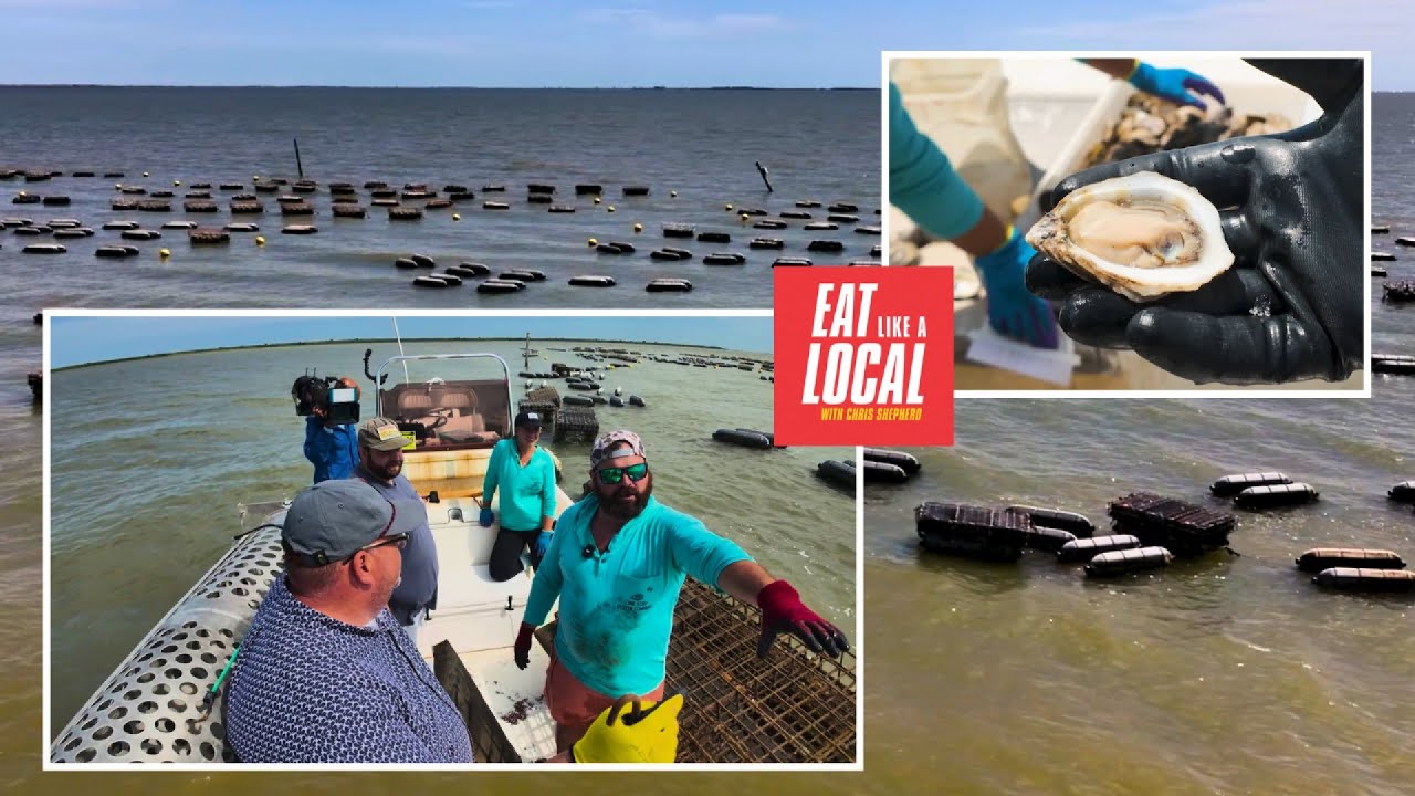 Farmed Fresh: Gulf Coast oysters make waves in Houston restaurants | Eat Like a Local, Ep. 61