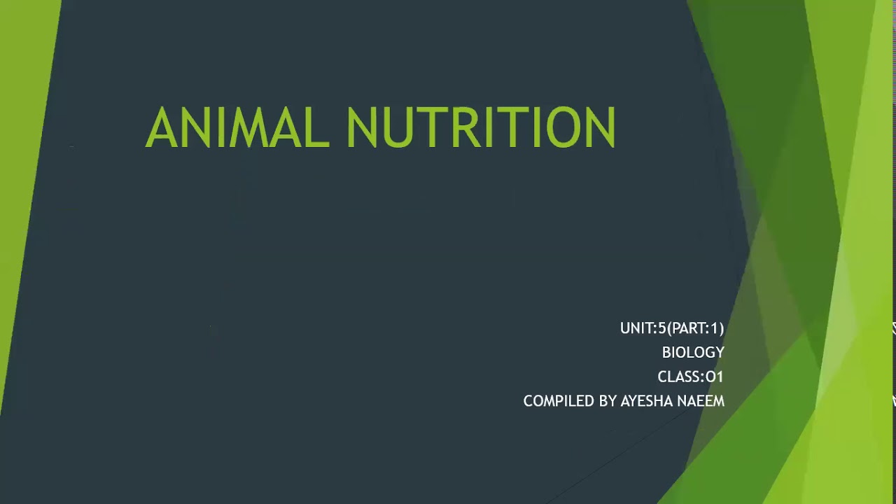 Animal Nutrition O' Level Biology YouTube