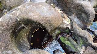 Olas de Sta Marinha, Vilar de Perdizes