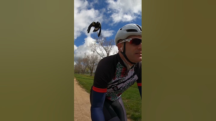It’s Magpie Season in Australia. 🚲🙄🦅