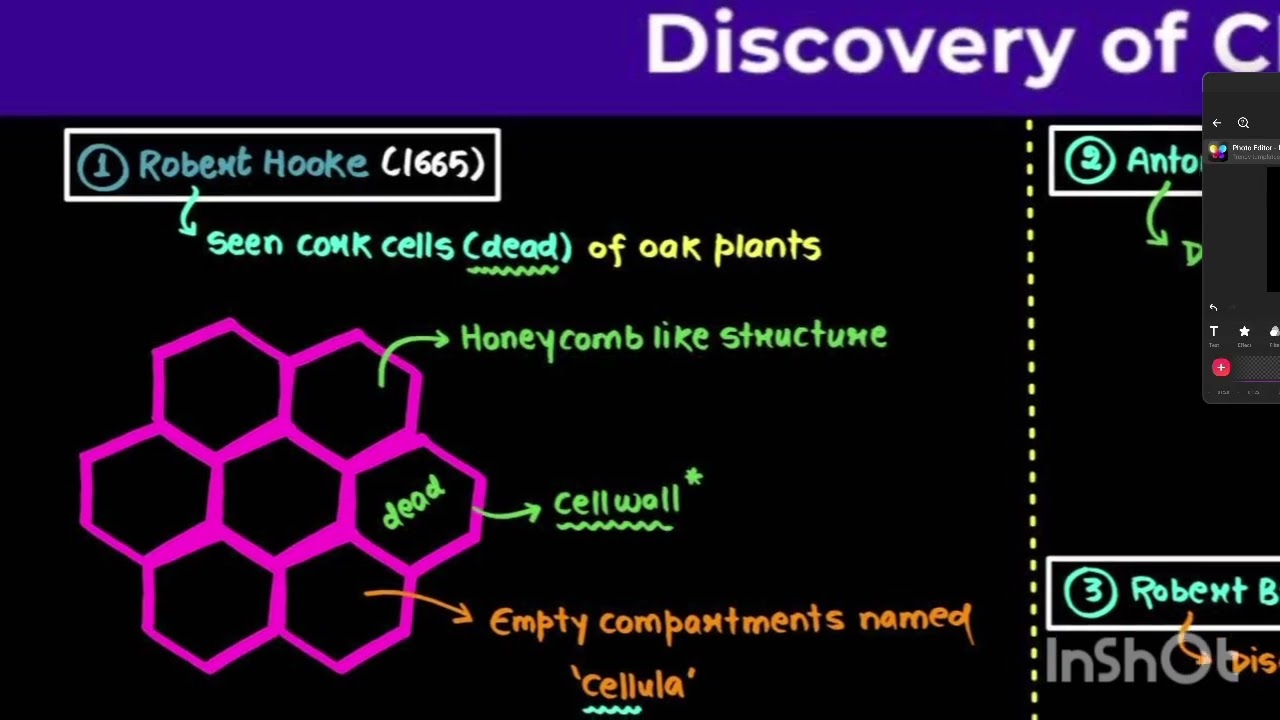 L1 Basic bio ,discovery cell,  cell theory, hypothesis