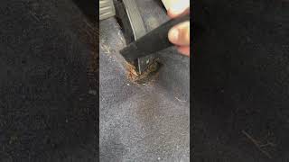 Heavy build up around this gas pedal!
