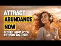 15 Minute Guided Meditation For Releasing Money Blocks And Attracting Abundance Marie Diamond
