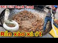 Ẩm Thực Rắn Hổ Trâu Xào Xả Ớt Và Rắn Hầm Thuốc Bắc Đỗ Xanh| Săn Bắt Ẩm Thực Vùng Cao