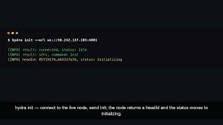 Hydra Manager CLI