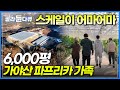 만들다 보니 6,000평? 손 어마어마하게 큰 가족이 만든 압도적 규모의 파프리카🫑온실 농장│역대급 금손 가족! 산봉우리 3개 깎아 만든 5만 평 놀이터│한국기행│#골라듄다큐