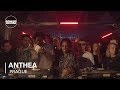 Anthea  boiler room prague