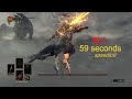 Dark souls 3  nameless king sl1 speedkill 59 seconds