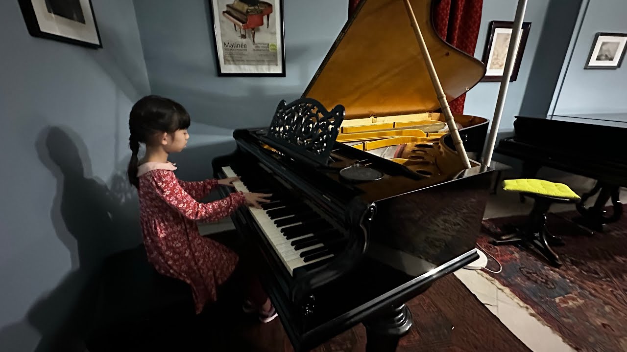 Aine plays Conrad Graf, Streicher, Bachmann, Erard, Ehrbar, Heitzmann, Schweighofer etc. in Vienna.