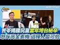 國民黨內部批評與發展