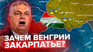 Will Hungary Be Able To Seize Transcarpathia? How Do Hungarian Agents Operate In Transcarpathia?