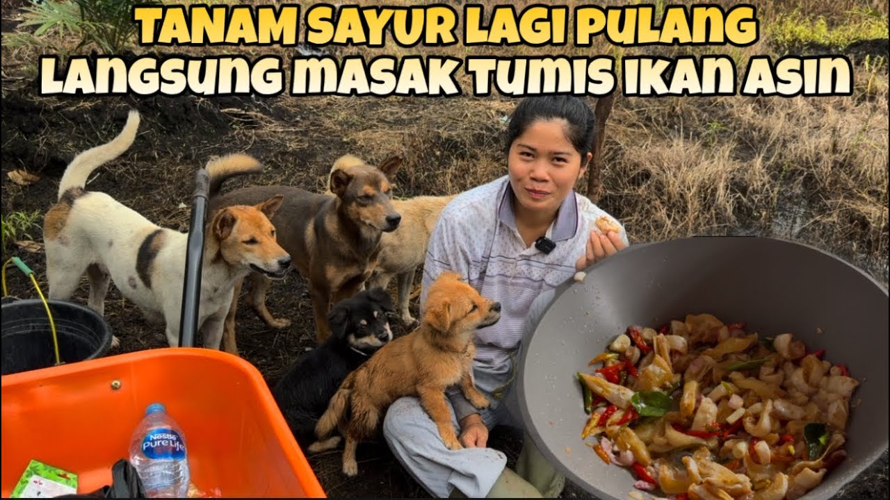 TANAM KANGKUNG DAN TOMAT,SELESAI LANGSUNG MASAK IKAN ASIN YANG BARU AKU BELI