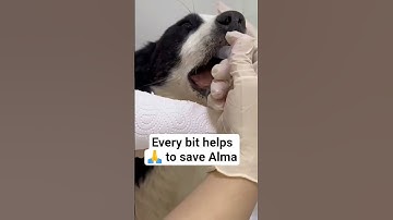 Donation link in bio. Every bit helps 🙏 please consider donating through PayPal link in bio