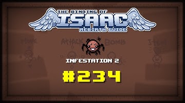 Binding of Isaac: Rebirth Item guide - Infestation 2