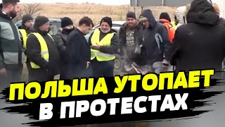 Украинцы массово блокируют дороги в Польше! Терпение лопнуло!