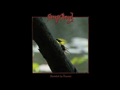 Stress Angel — Stress Angel (US) - Punished by Nemesis (Full Length) 2024