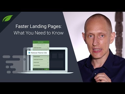 How the "Remove Theme CSS" Feature Makes Your Landing Pages Faster