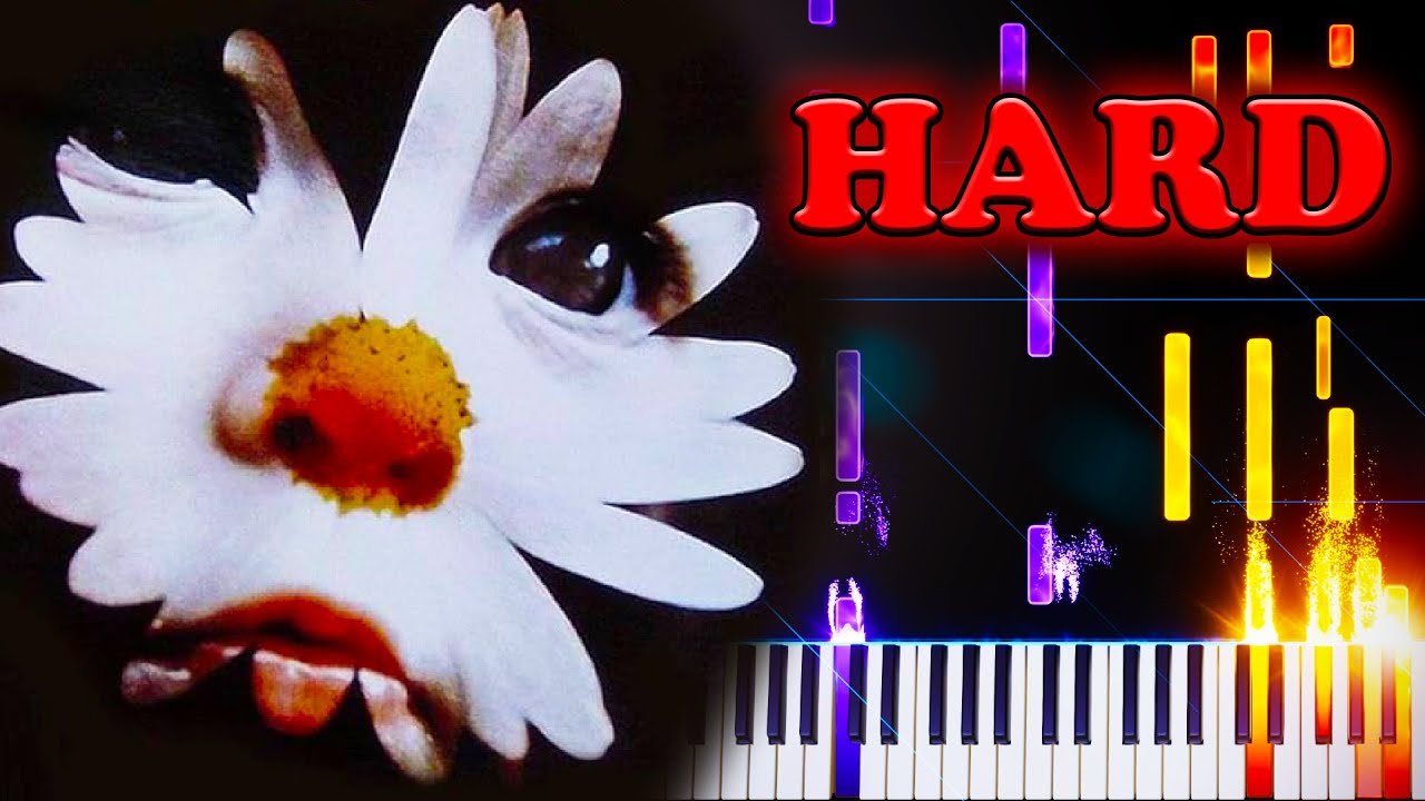 Ver The Foundations - Build Me Up Buttercup - Piano Tutorial no YouTube