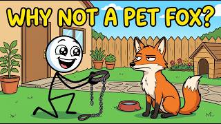 Why Foxes Are Not Pets. Even When They Love Humans