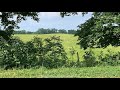 Kentucky Arrowhead Hunting Walking the Fields #27