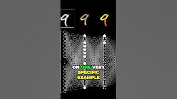 Uncovering the Neural Magic: From Pixels to Patterns