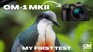 OM System OM1 Mkii First Impression and Test Results.