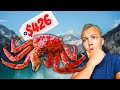 WE ATE 426 CRAB LEGS IN ALASKA 