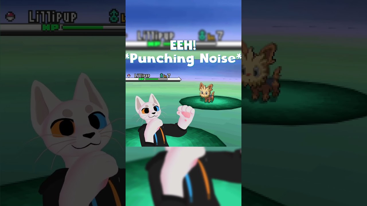 When chat chooses YOU to battle!