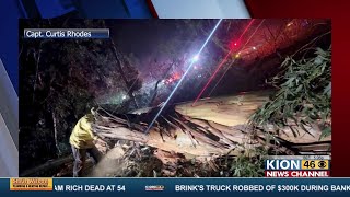 200 foot tree topples on HWY 101 from wind and rain: Cal Fire