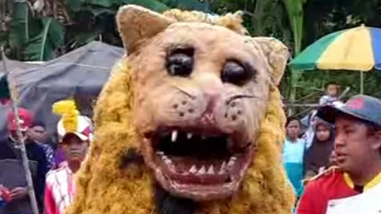 Can Macanan Dan Drumband  AL FAQIH Memeriah kan walimatul khitan