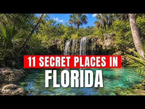 Discover Tulane's Best-Kept Dining Secret