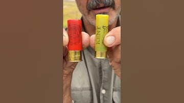 20 Ga. Better Than 12 Ga.