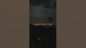 فألقى عصاه فإذا هي ثعبان مبين |القارئ محمد اللحيدان