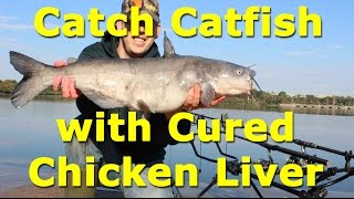 Awesome catfish bait - cured chicken liver on an egg loop knot