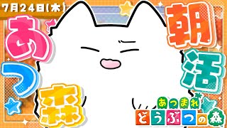 キムチキャットの配信のサムネイル画像