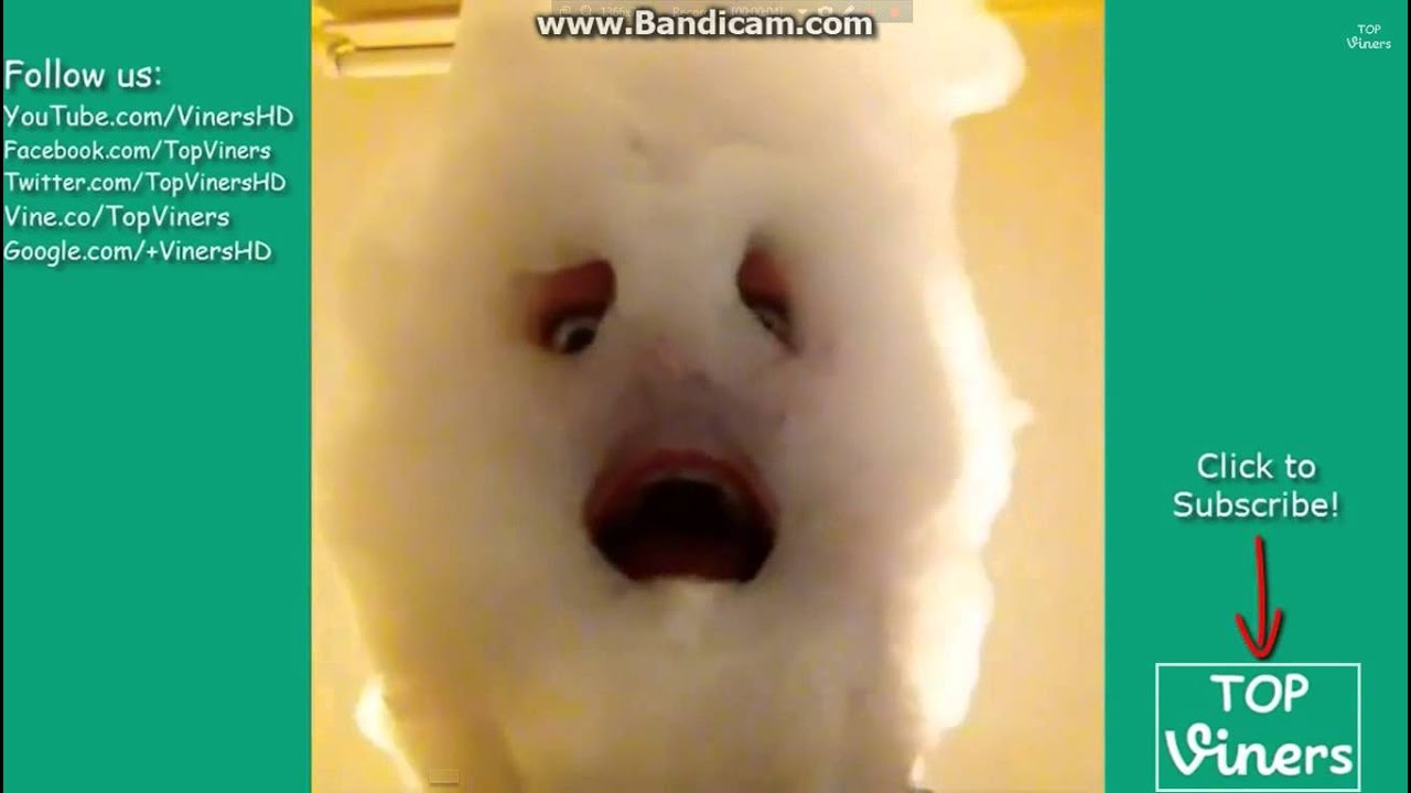 A few happy cloud vines