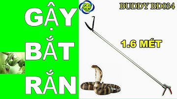 Cây bắt rắn 1 6 Mét Buddy BD034 ĐÀI LOAN  GIÁ : 556k