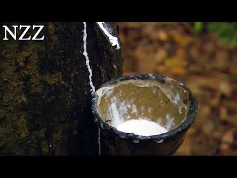 Latex: kostbare Milch vom Gummibaum - Dokumentation von NZZ Format (2008)