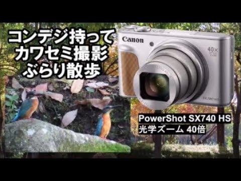 I took a stroll with my compact digital camera to photograph
