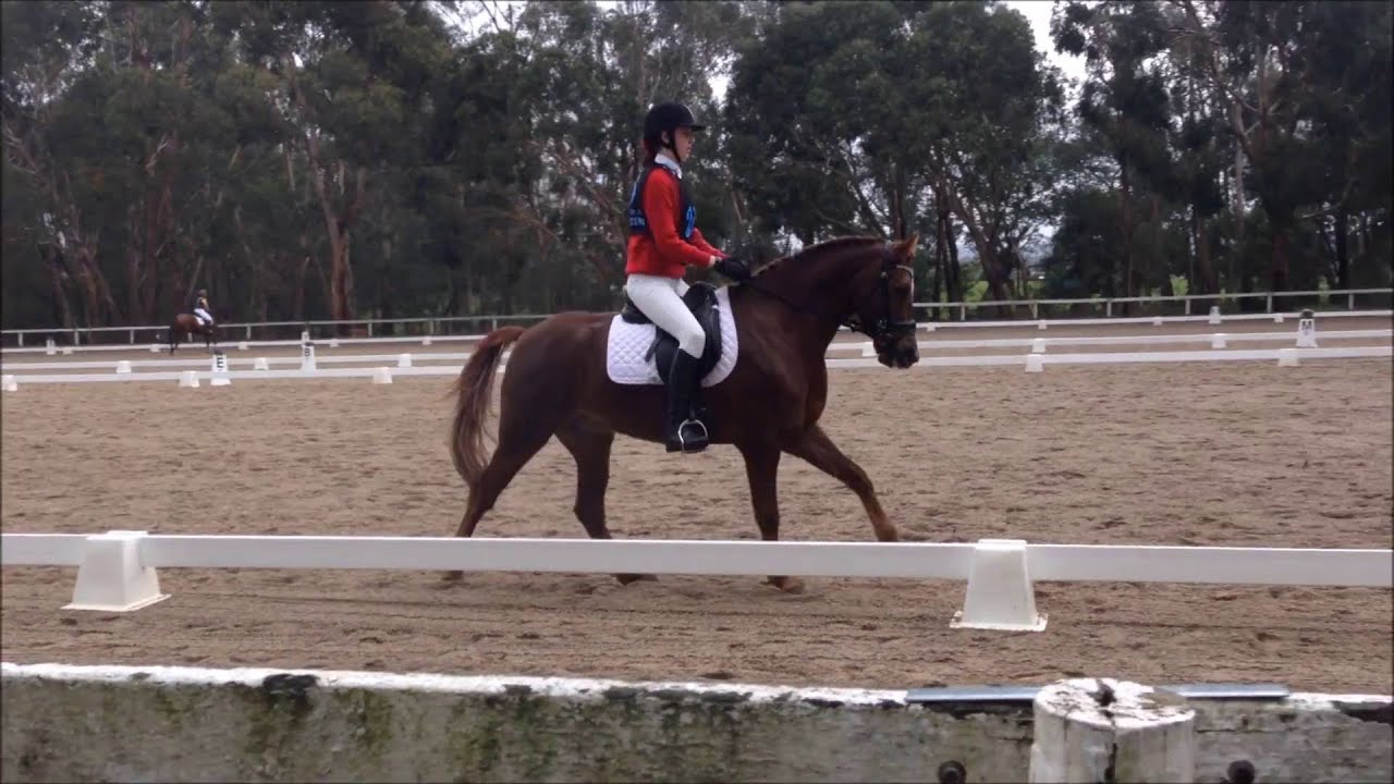 DOONGALA DRESSAGE GRADE 3 | 2016