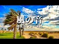 風の効果音【強風/雨、雷/嵐/ヒュー/フリー素材/無料】