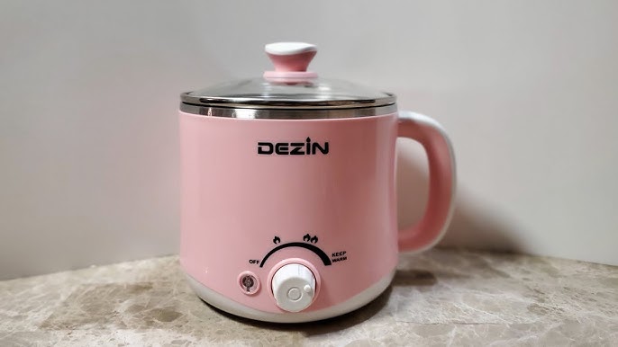 Dezin Electric Hot Pot, Rapid Noodles Cooker, Stainless Steel Mini Pot