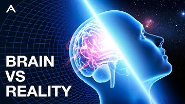 How Your Brain Shapes Reality