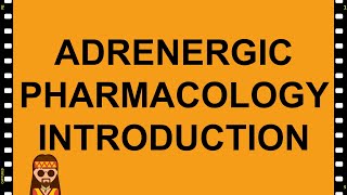 Adrenergic Pharmacology Introduction [Drugs acting on NE Synthesis and Release]