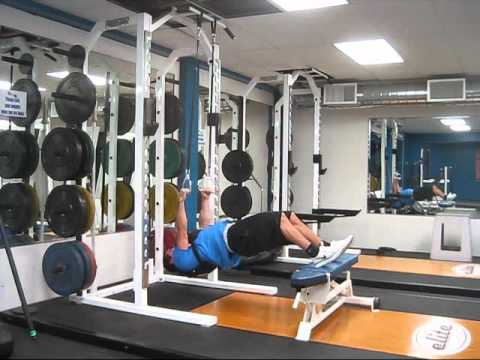 Suspended Hamstring Bodycurls