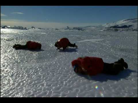 Seal Sounds from Encounters at the End of the World