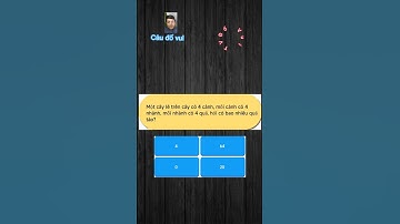 Những Câu Đố Vui - Hack Não (p21) #dovuitv #shorts