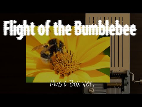 왕벌의 비행Flight of the Bumblebee (Music Box ver.) - 림스키 코르사코프 Rimsky-Korsakov