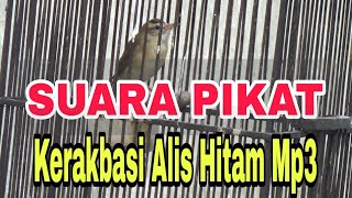 SUARA PIKAT KERAKBASI ALIS HITAM MP3