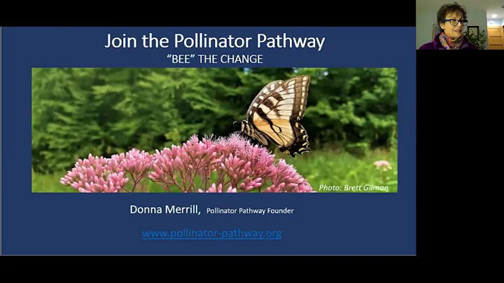 Pollinator Pathway: BEE on it! Addison County VT K...